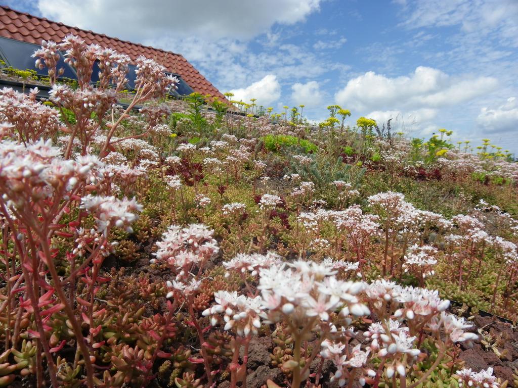 Fleur De Ciel Villa Loos-en-Gohelle Exterior photo